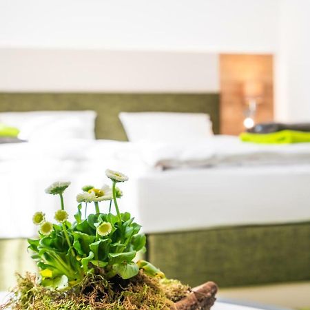 Hotel-Pension Treppengasse Nr 6 Altenburg Kültér fotó